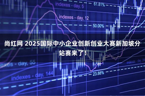 尚红网 2025国际中小企业创新创业大赛新加坡分站赛来了！