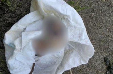 泽峰资本 美国一男子在沙滩发现神秘盒子，打开发现一根腐烂的脚趾