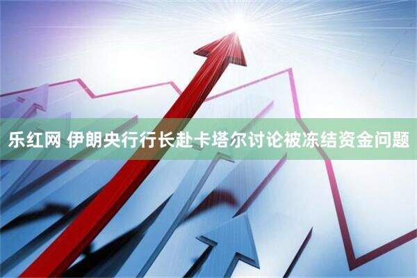 乐红网 伊朗央行行长赴卡塔尔讨论被冻结资金问题